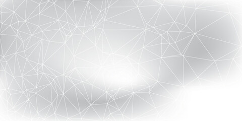 Abstract White Wireframe Network Background with Geometric Polygon Mesh on Light Gray Gradient © MOH