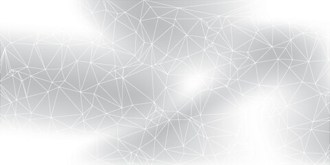 Light Gray Wireframe Mesh Background with Abstract White Polygon Network and Copy Space © MOH