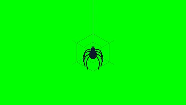 Black spider hanging from a delicate silk thread in the center of a geometric cube animation video motion clip