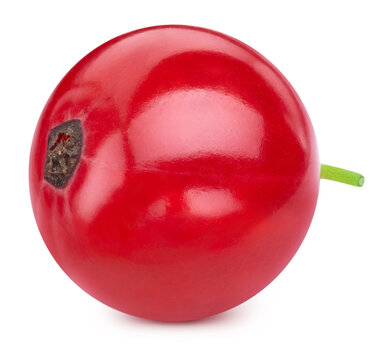 Red currant isolated on white background. Ripe organic fresh red berry with clipping path