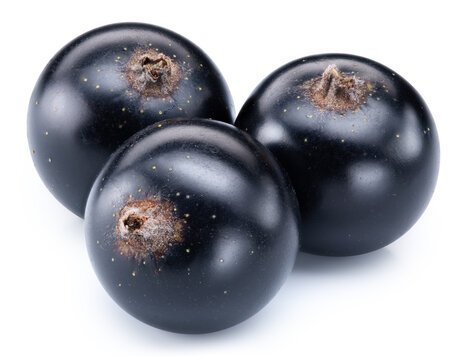 Blackcurrant berries isolated on white background. Ripe organic fresh black currants with clipping path
