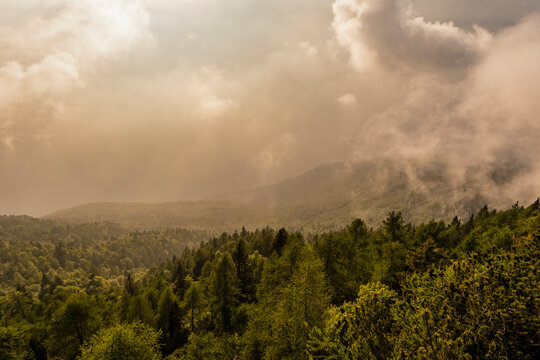 Mountain forest landscape featuring thick clouds and sunlight, showcasing outdoor adventure tourism and nature exploration in Monte Baldo Natural Park, Brentonico, Trentino, Veneto, Italy.
