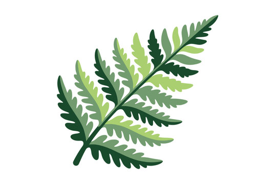 Illustrated green fern leaf with multiple shades of green