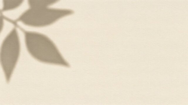背景動画のクリーム色の紙のような質感の面に葉っぱの影がそよそよと揺れながら重なり合い静かな余白を画面いっぱいに広げ続けるナチュラルで温もりのある固定構図の一場面である
