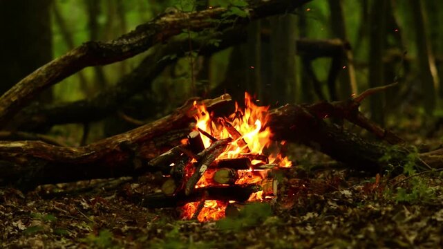 Cinematic campfire burning with vibrant dancing flames in wild nature forest seamless loop video with realistic crackling fire audio and birds singing for meditation app
