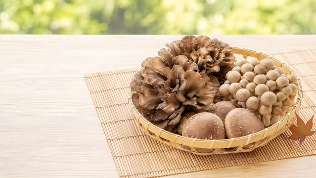 秋のきのこの籠盛り もみじを添えた旬の味覚の和食素材