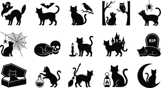 Halloween cat bundle spooky black cat silhouettes for autumn october designs