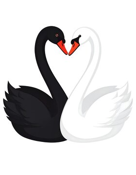 A digital illustration of a black and white swan forming a heart shape with their necks