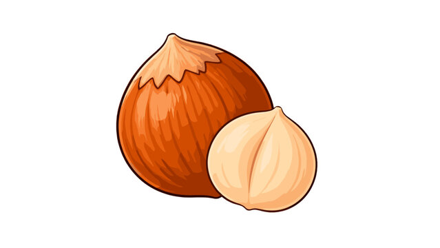 Whole and shelled hazelnut isolated vector illustration
