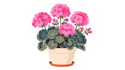 Obraz premium Pink geranium flowers in a terracotta pot vector illustration