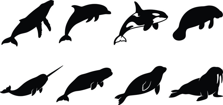 Marine mammal silhouette vector collection featuring whale dolphin orca manatee narwhal seal and walrus illustrations