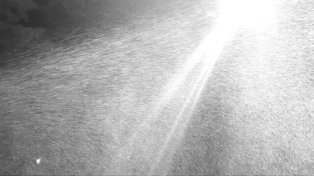 Sprinkler System Spraying Irrigation Water onto a Residential Back Yard With Sun Shining Through the Fog of the Sprinkler - Black and White