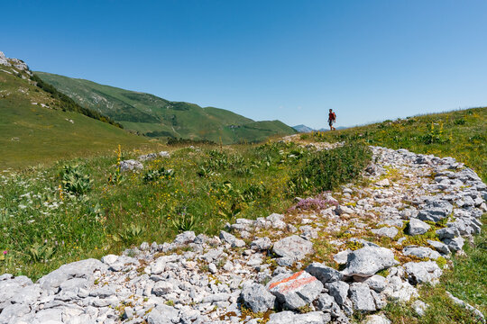 Hiker on a rocky mountain trail through a green meadow, capturing an outdoor adventure and lifestyle, San Valentino di Brentonico, Monte Baldo Natural Park, Brentonico, Trentino, Italy.
