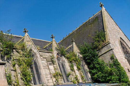 Old stone church structure with extensive green overgrowth on its ancient walls and sloped roof under a clear blue sky