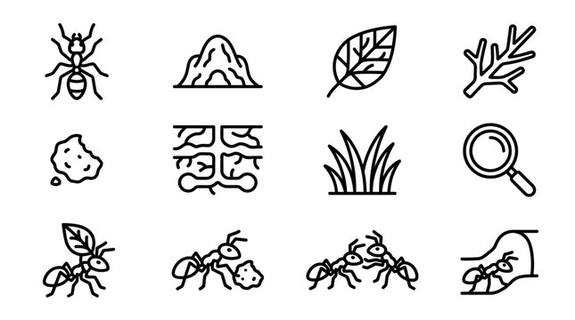 Ant Colony Icons: Insect Life, Nest, Leaf, Branch, Soil, Colony, Grass, Magnifier