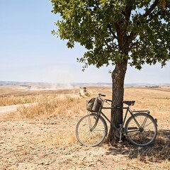 Fototapeta premium Vintage Bicycle with Basket and Thermos Leaning Against Tree in Rolling Summer Hills