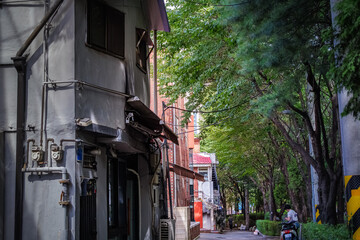 Naklejka premium Visual contrast between a gray vintage building, red brick houses, and green trees in a alleyway(A narrow backstreet in Mapo, showcasing the harmony of gray concrete, red brick and summer foliage)