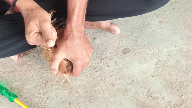 Close-up of a man peeling a coconut husk and cracking it open on a stone block, traditional way of opening a coconut
