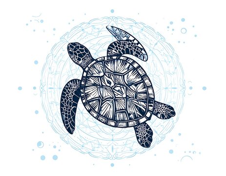 A detailed illustration of a sea turtle with intricate patterns on its shell, surrounded by a circle with various designs
