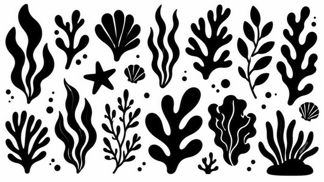 Minimal black seaweed silhouette collection with coral marine plant shapes and ocean botanical design set