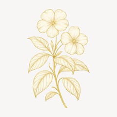 Obraz premium Elegant floral sketch art