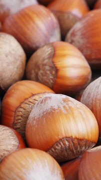 Hazelnut background, top view. Rotating. Vertical footage