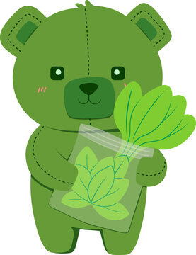 Green Teddy Bear Holding Bag of Lettuce