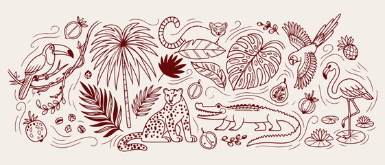 Obraz premium Tropical jungle wildlife doodle background, exotic animals line art pattern, safari safari sketch illustration, rainforest nature seamless texture, wild jaguar icon set, botanical leaves elements wall