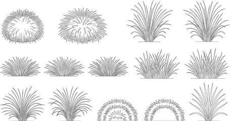 Obraz premium Ornamental Grass and Decorative Foliage Outline Collection for Landscape Architecture, Garden Design and Vector Illustration