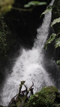 Cascada tropical en bosque h&uacute;medo con agua en movimiento y vegetaci&oacute;n exuberante en video vertical