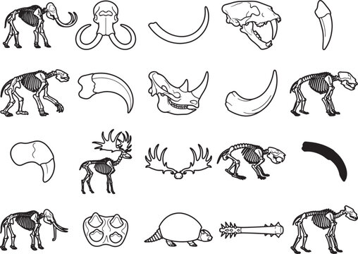 A collection of prehistoric animal skeletons and fossil fragments, including mammoths, saber-toothed cats, and extinct rhinos, are depicted in a clean, illustrative style.