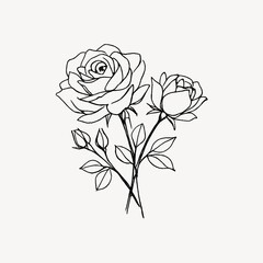 Obraz premium Elegant sketch of blooming roses.