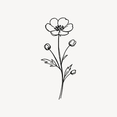 Obraz premium Minimalist line drawing of a delicate flower with buds and leaves.