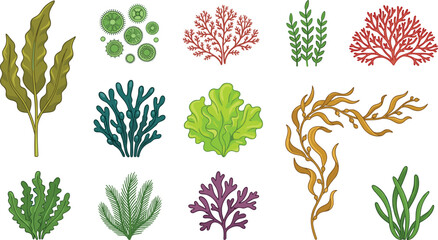 Underwater Seaweed and Marine Algae Vector Icon Set with Aquarium Plants, Kelp Forests, Coral Reef Elements, and Botanical Ocean Vegetation © Fahim