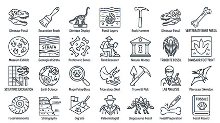 Paleontology and dinosaur fossil excavation line icons. © muhammad