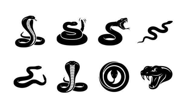 Snake Silhouette Vector Collection with Cobra Rattlesnake Viper Python and Serpent Logo Designs