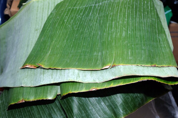 close-up shot of several fresh, bright green banana leaves stacked neatly, ready to be used as traditional food wrappers © awgraphoto