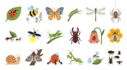 Obraz premium Flat Vector Illustration of Cute Insects and Bugs Set for Nature, Education, and Kids