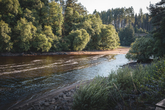 Woodland and Kielder Water Walk Near Mathews Lin, Northumberland, July 2026
