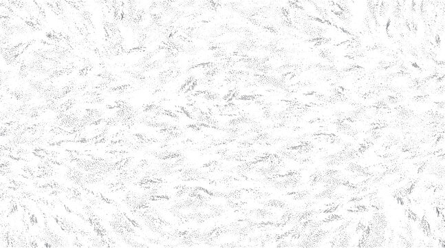 Abstract pattern of scattered grey dots and short strokes on a white background texture