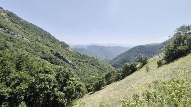 Valle montana con pendii verdi ricoperti di vegetazione fitta, alberi in primo piano e crinali che sfumano verso l&rsquo;orizzonte sotto un cielo limpido.