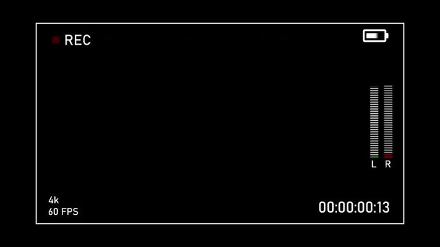 Digital Camera Viewfinder Overlay with Recording Indicator and Focus