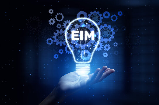 EIM Enterprise Information Management System for Business Data Integration and Workflow Automation