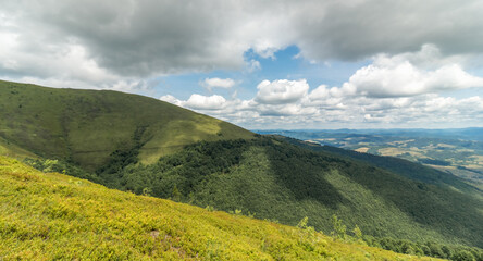 Obraz premium Sunny Summer View of Borzhava Valley in the Carpathians