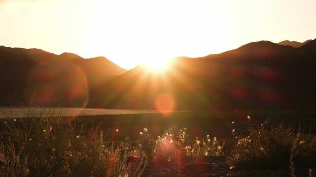 Golden hour mountain landscape background with wind blowing through wild grass at sunset. Scenic nature video concept for travel, lifestyle, sustainability and mindfulness commercial projects with cop