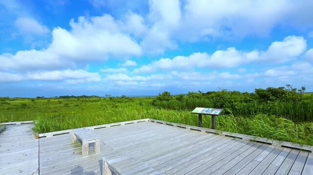 北海道のサロベツ湿原