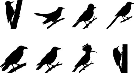 Forest Bird Silhouette Icon Set © MstSume