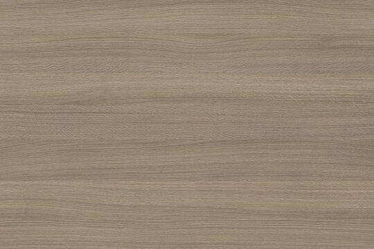 White Oak Grey Finish wood texture with refined grain patterns and cool grey tones. Premium wooden surface ideal for furniture, flooring, cabinetry, interior design, and architectural backgrounds.