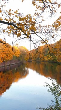 Autumn scene landscape with lake. Vertical footage