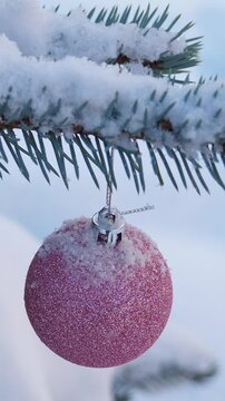 Red New year ball on snowy pine tree branch with snow. Christmas decoration. Vertical footage
